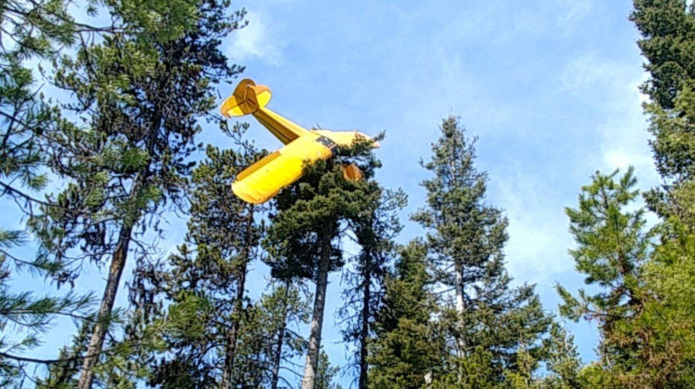 Plane crashes, lands on top of tree outside McCall     